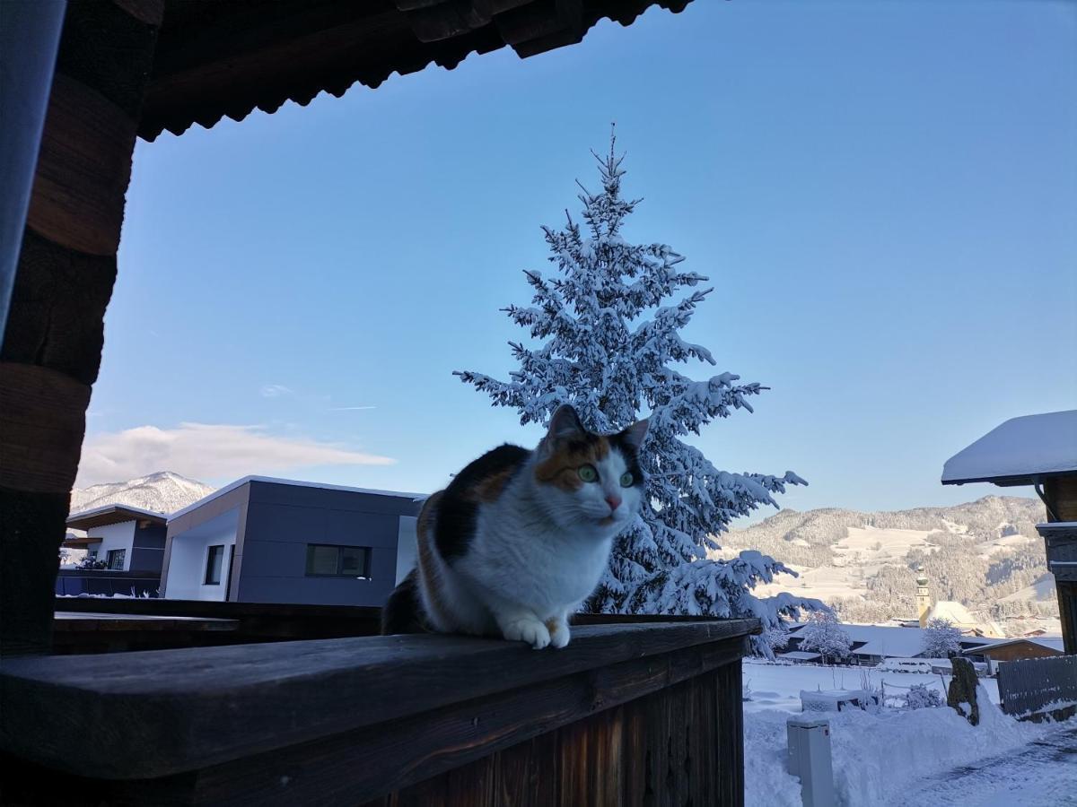 Ferienhaus Weberhof ไรท์ แอม อัลป์บาคทัล ภายนอก รูปภาพ