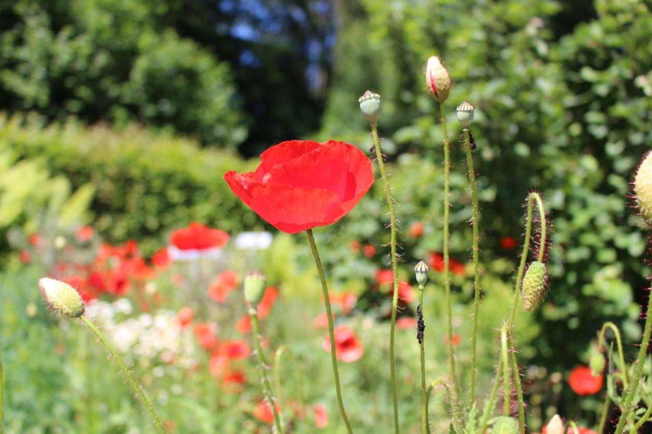 Ferienhaus Weberhof ไรท์ แอม อัลป์บาคทัล ภายนอก รูปภาพ